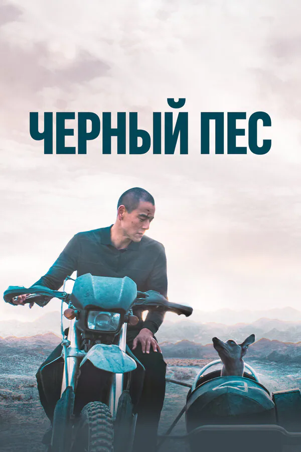 Обложка фильма «Чёрный пёс»