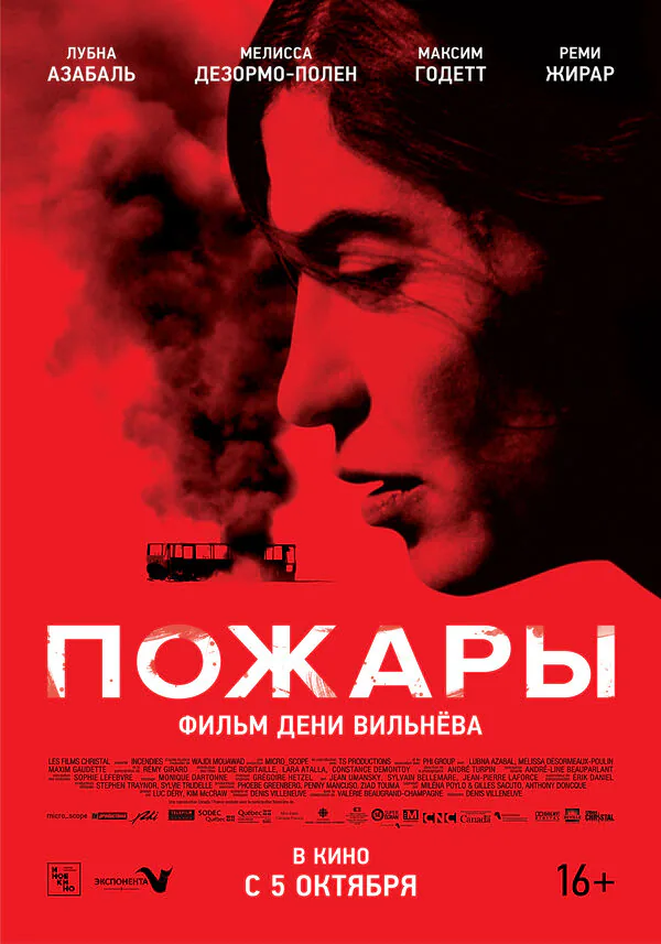 Обложка фильма «Пожары»