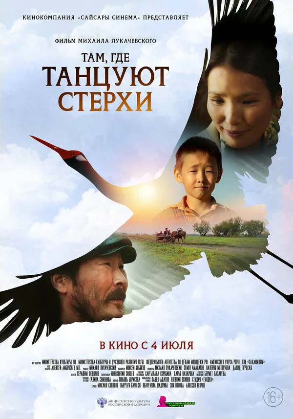 Обложка фильма «Там, где танцуют стерхи»