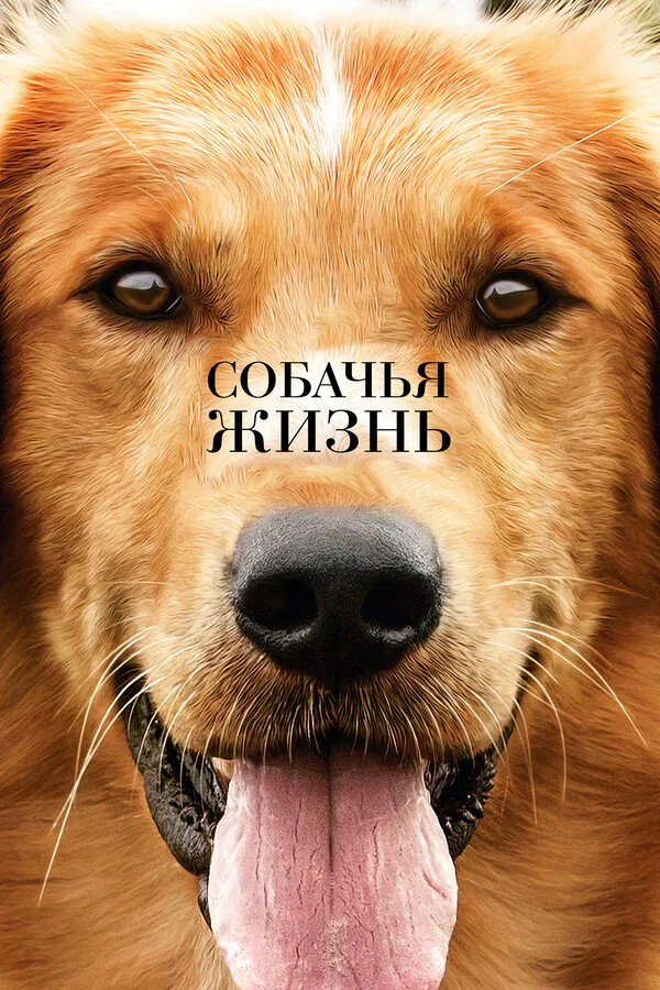 Обложка фильма «Собачья жизнь»