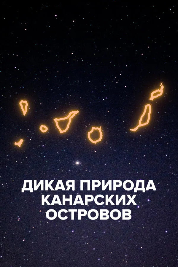 Обложка фильма «Дикая природа Канарских островов»