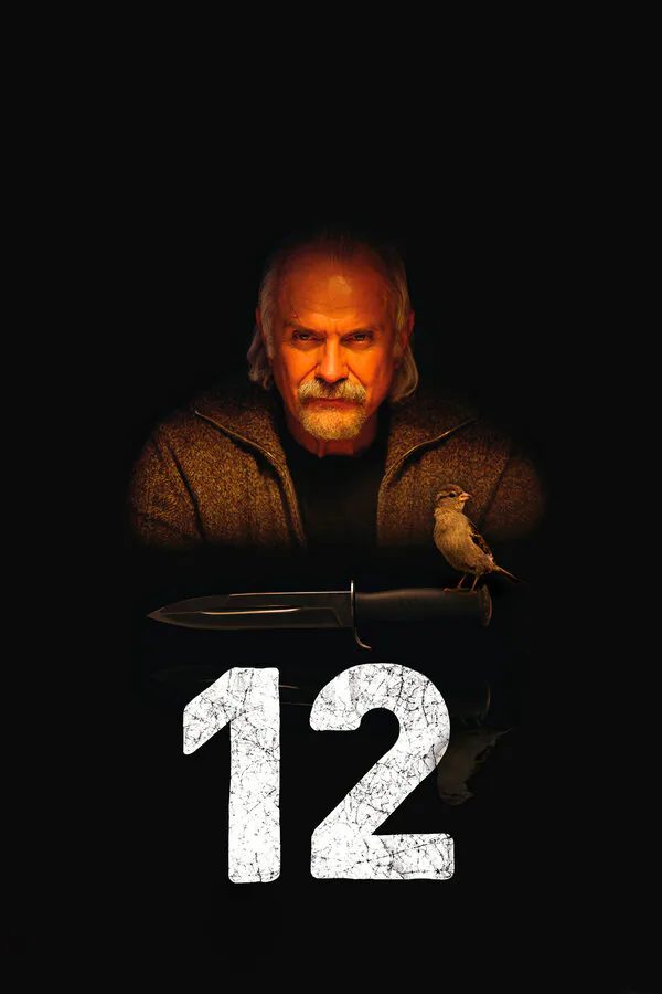 Обложка фильма «12»
