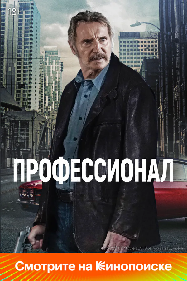 Обложка фильма «Профессионал»