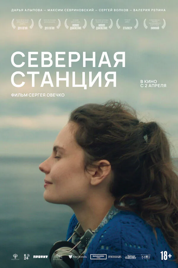 Обложка фильма «Северная станция»