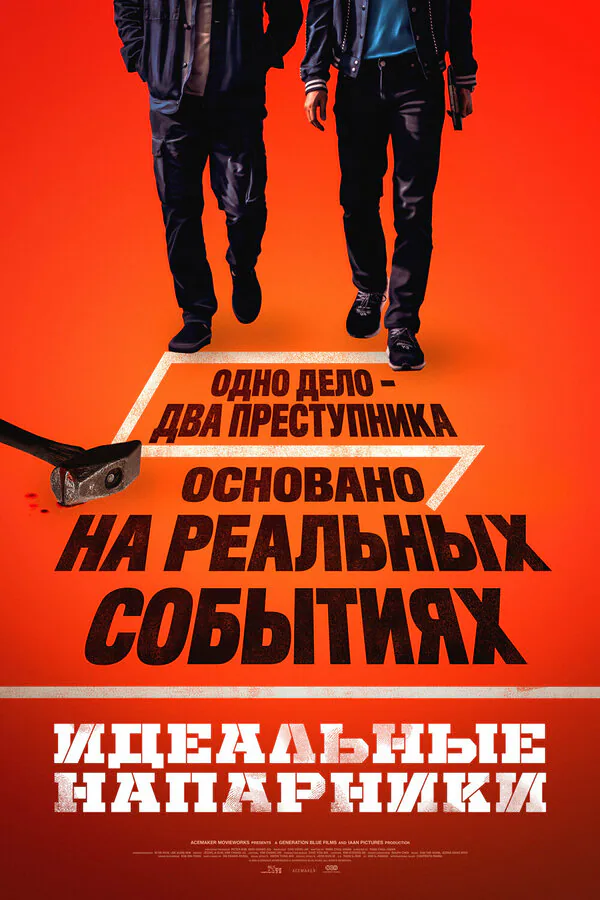 Обложка фильма «Идеальные напарники»
