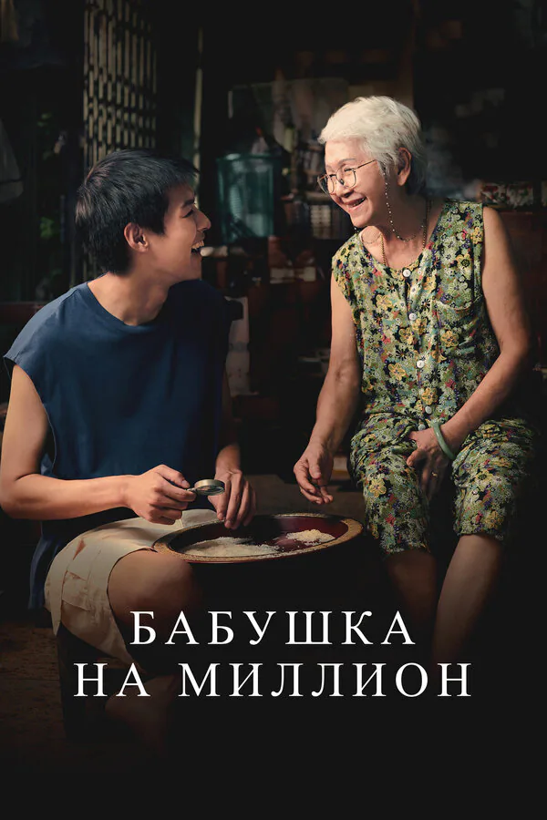 Обложка фильма «Бабушка на миллион»