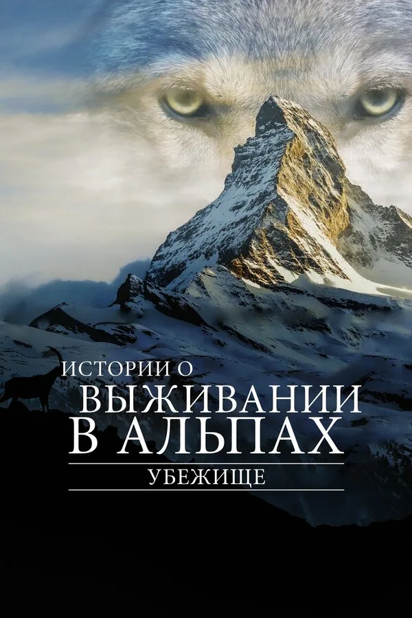 Обложка фильма «Убежище. Истории о выживании в Альпах»