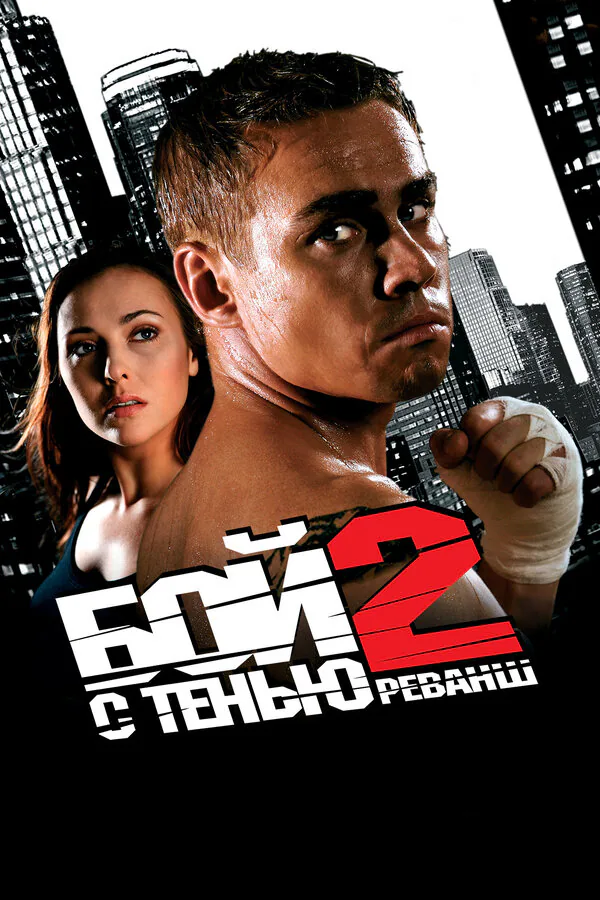 Обложка фильма «Бой с тенью 2: Реванш»