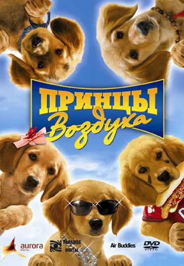 Обложка фильма «Принцы воздуха»