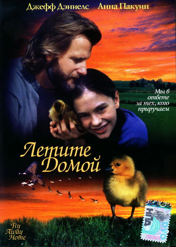 Обложка фильма «Летите домой»