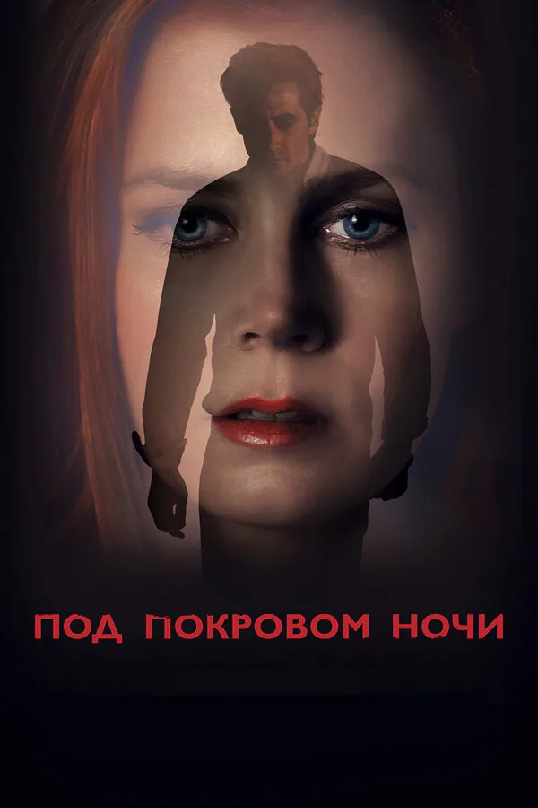 Обложка фильма «Под покровом ночи»