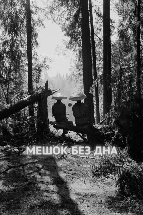 Обложка фильма «Мешок без дна»