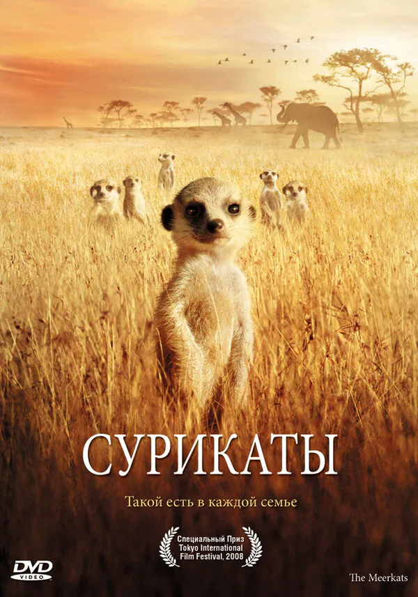 Обложка фильма «Сурикаты»