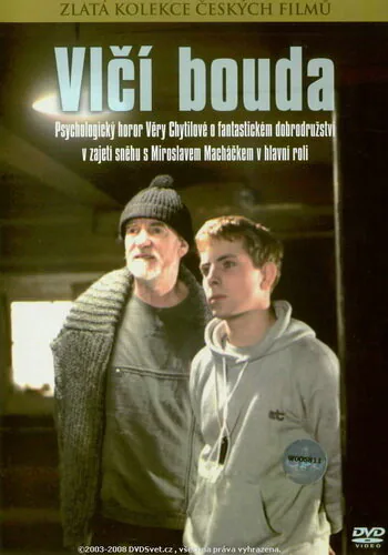 Обложка фильма «Турбаза «Волчья»»