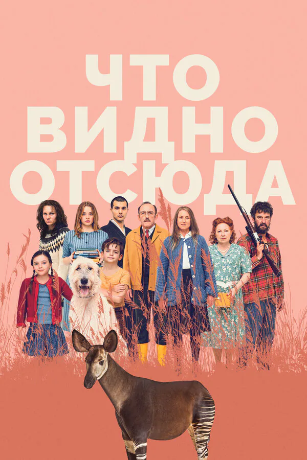 Обложка фильма «Что видно отсюда»