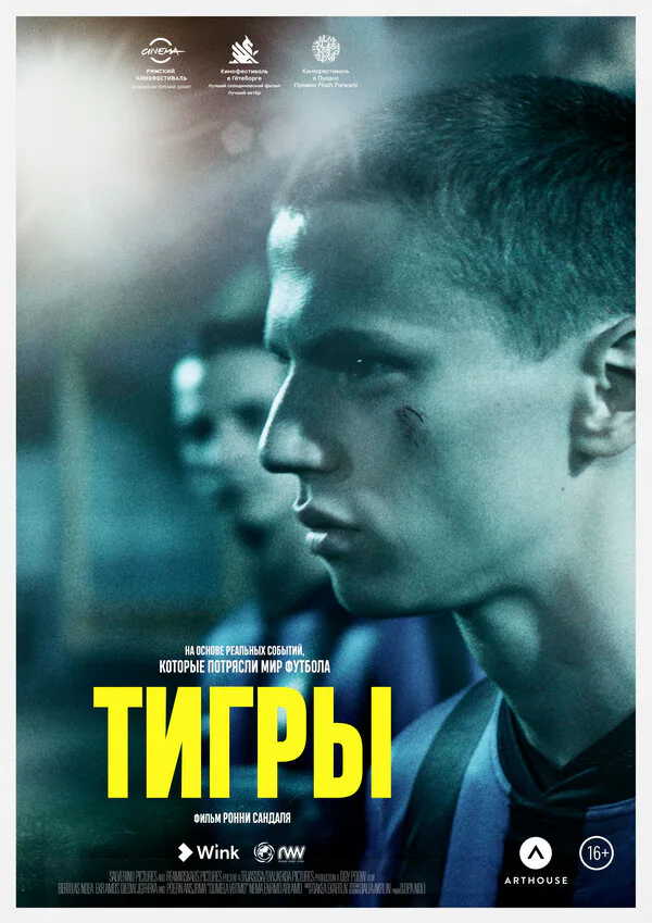 Обложка фильма «Тигры»