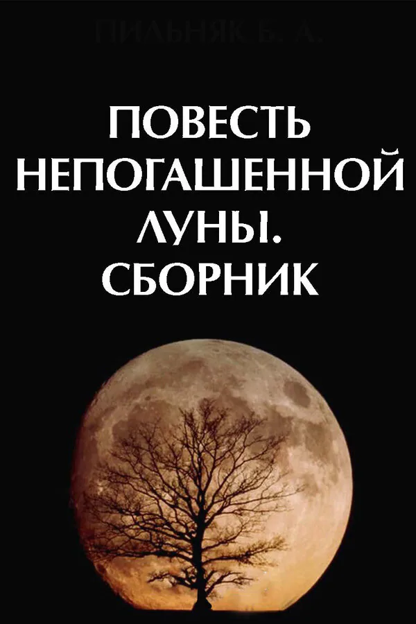 Обложка фильма «Повесть непогашенной луны»