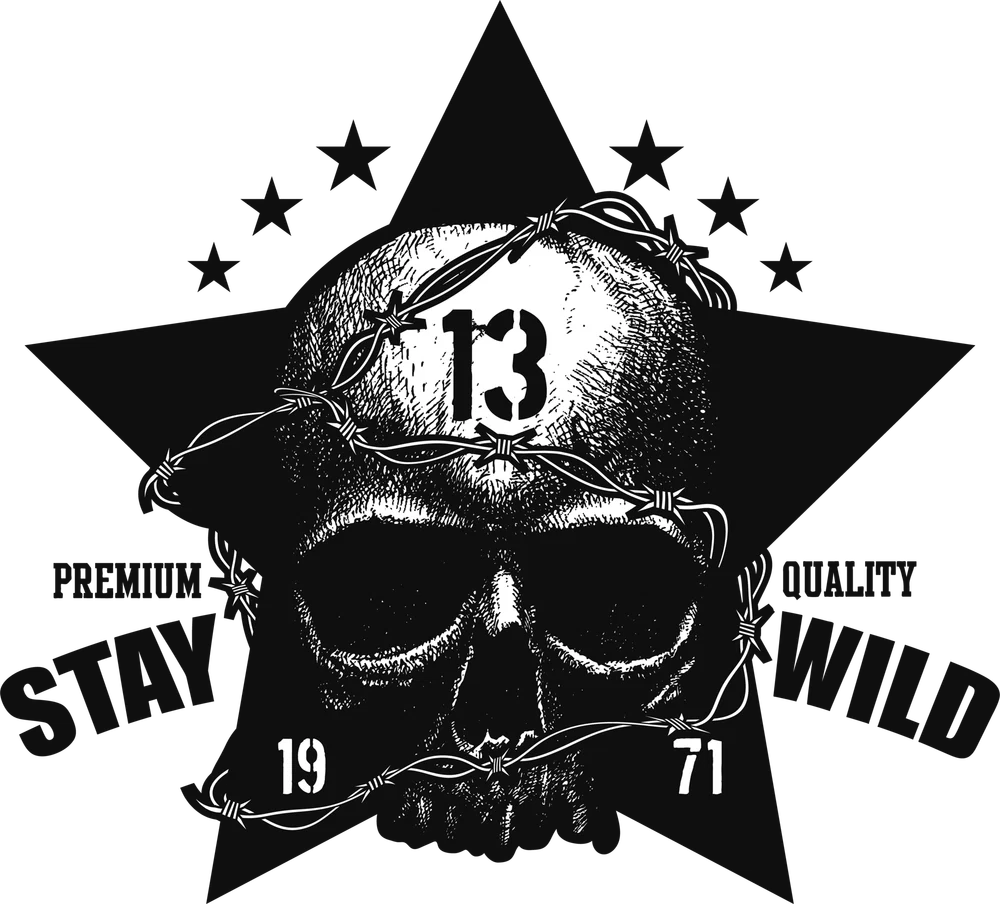 DTF-принт 1431