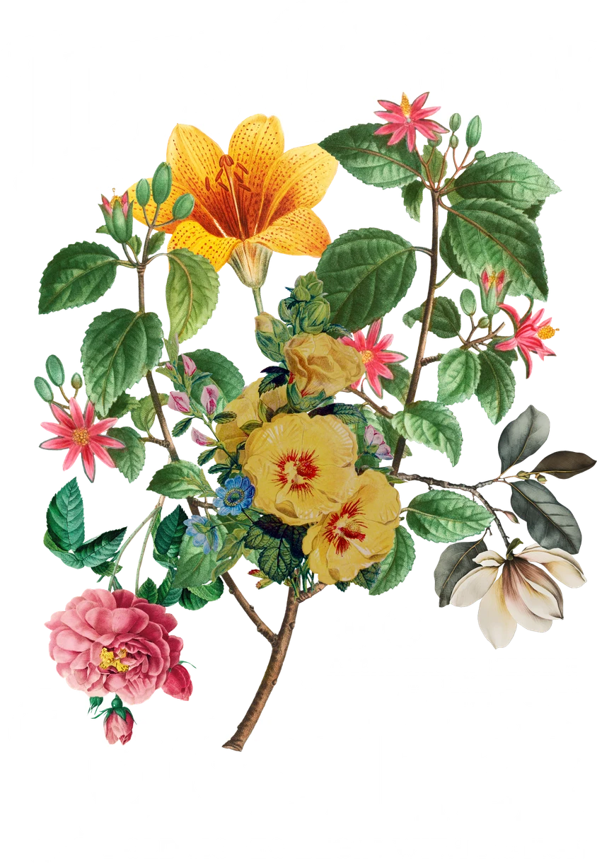 DTF-принт 182