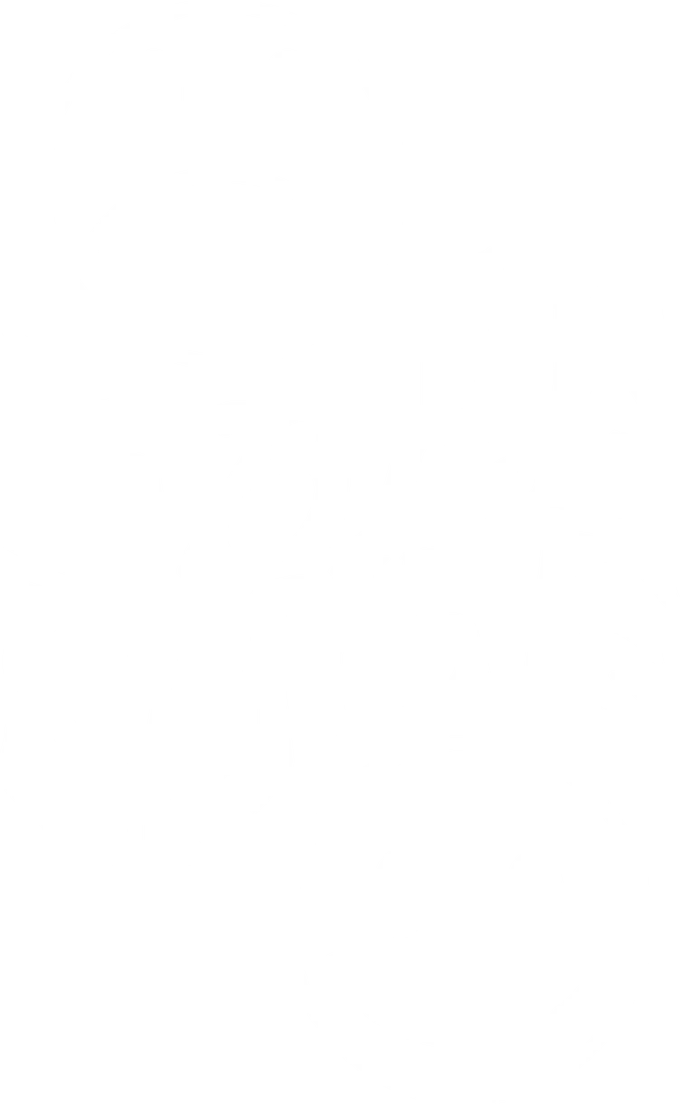 DTF-принт 333
