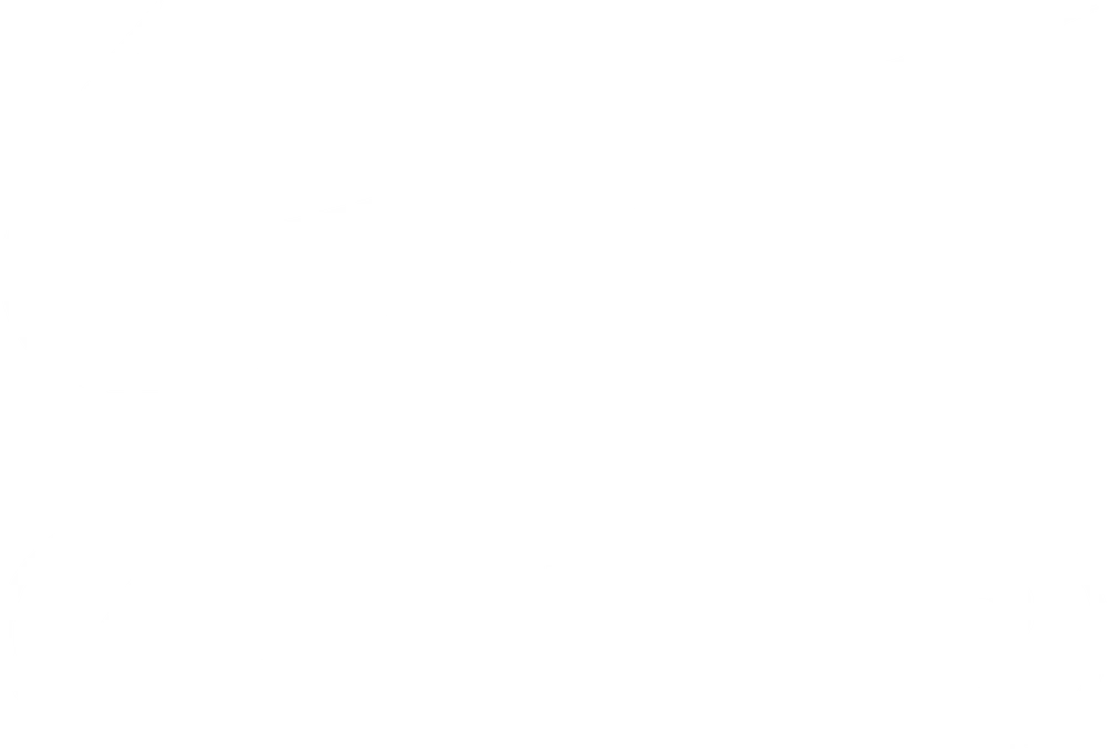 DTF-принт 560