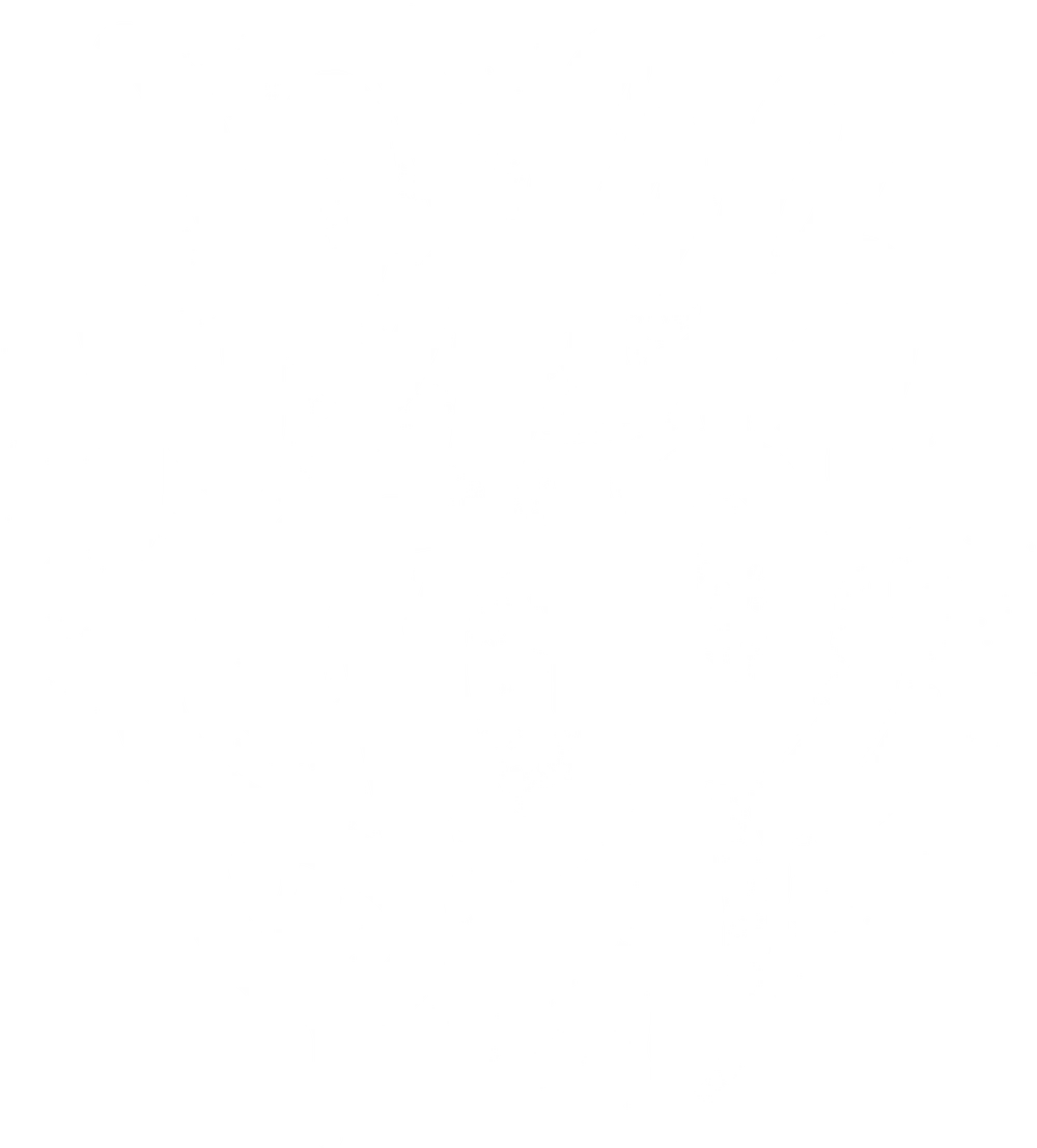 DTF-принт 658