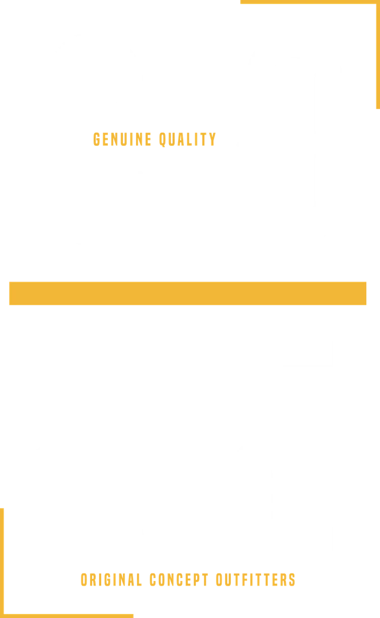 DTF-принт 683