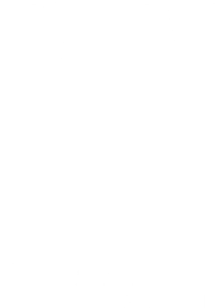 DTF-принт 684