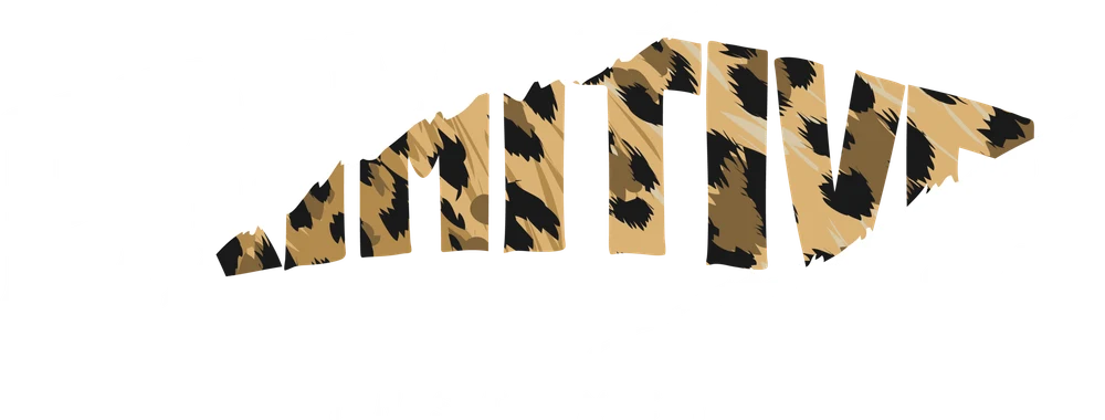 DTF-принт 699