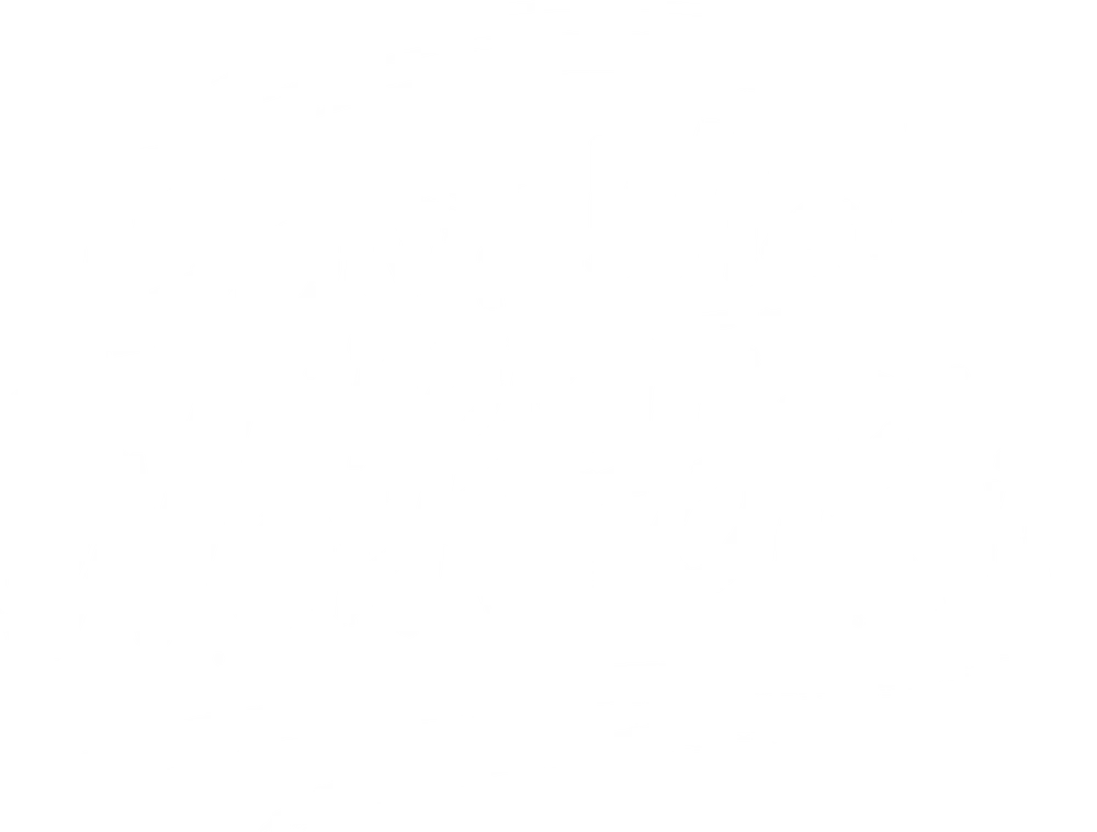 DTF-принт 730