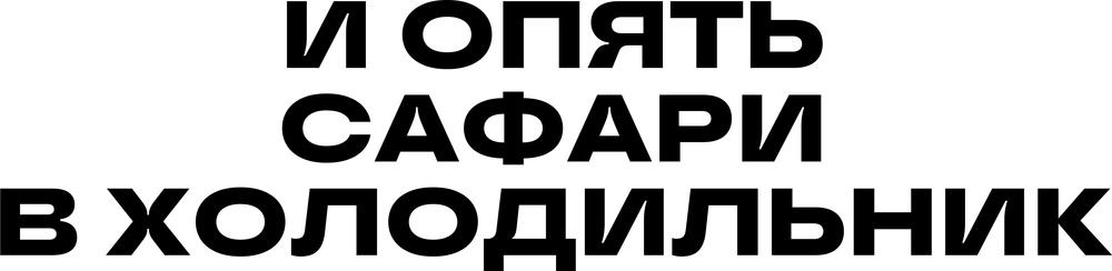 DTF-принт 3673