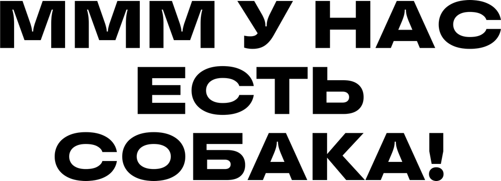 DTF-принт 4761
