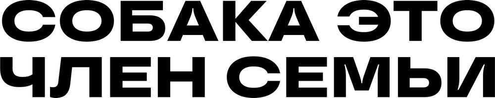 DTF-принт 4763