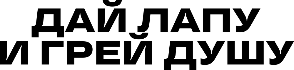DTF-принт 4769
