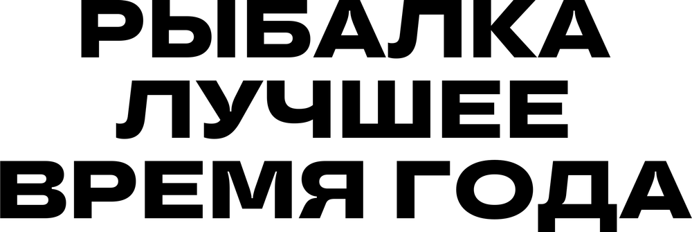 DTF-принт 4956