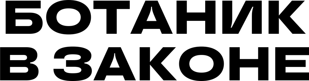 DTF-принт 5477