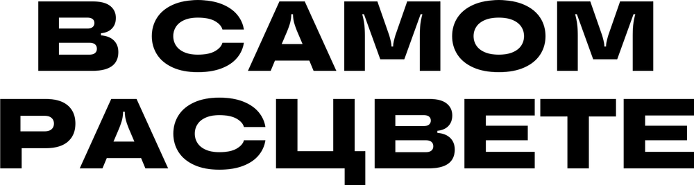 DTF-принт 6302