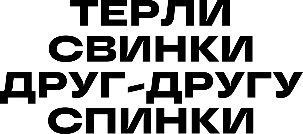 DTF-принт 6338