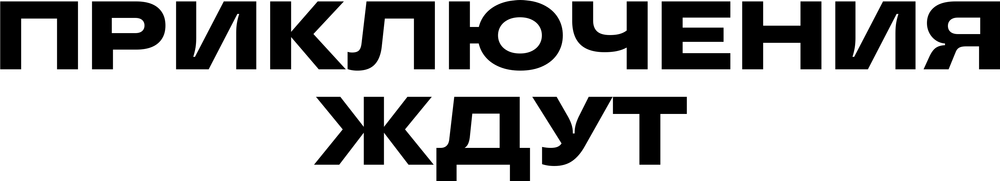 DTF-принт 6519