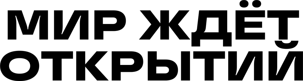 DTF-принт 6549