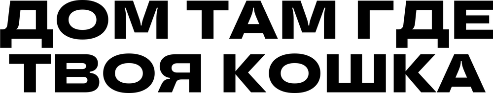 DTF-принт 6761