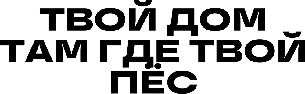 DTF-принт 6811