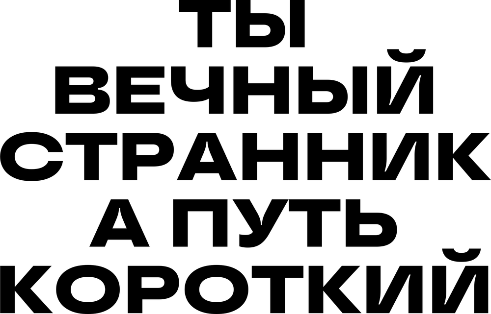 DTF-принт 6907