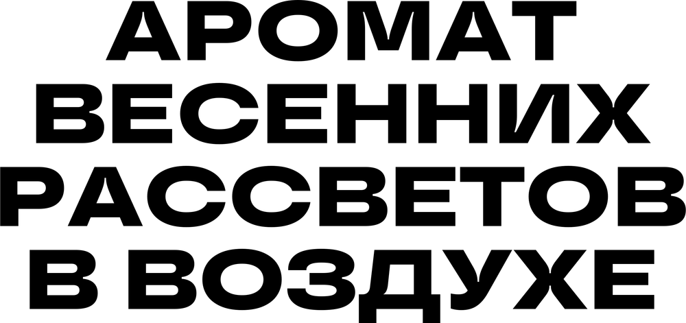 DTF-принт 6938