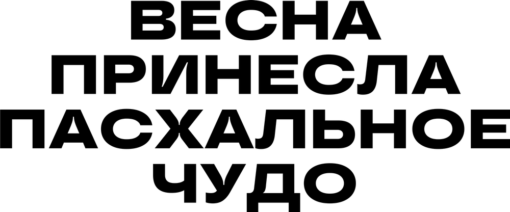 DTF-принт 6943