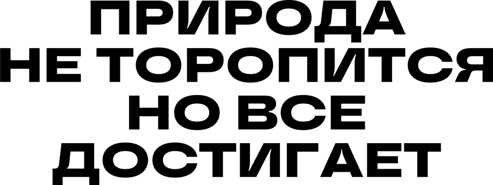 DTF-принт 6945