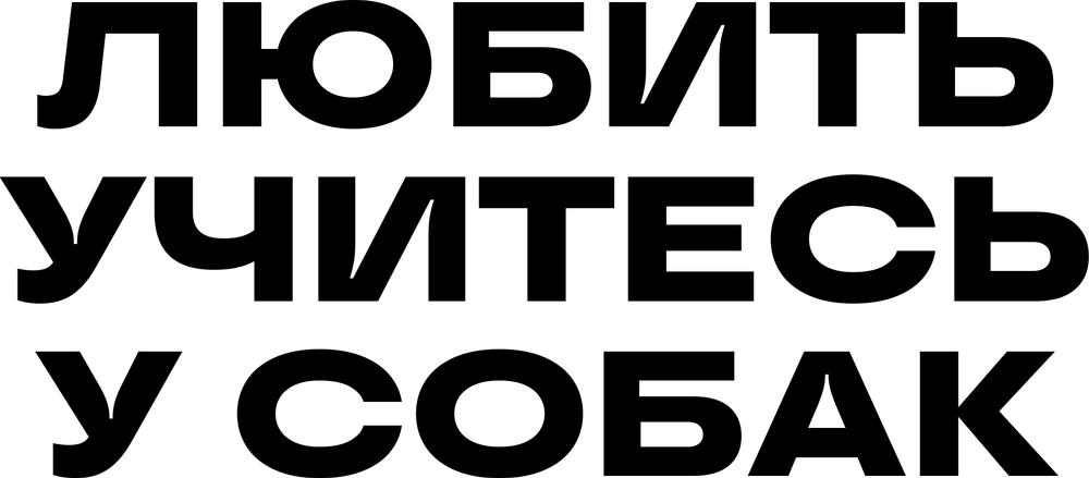 DTF-принт 7011