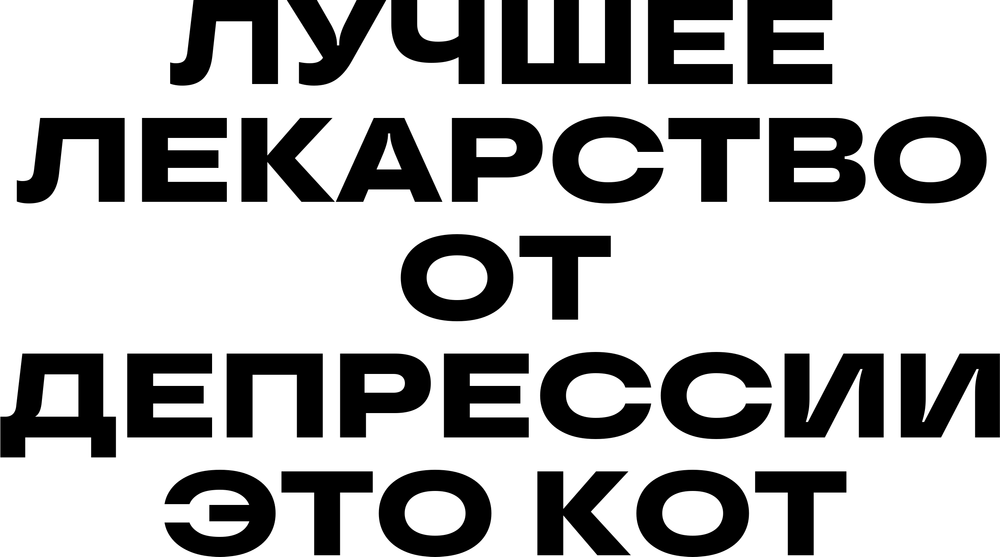 DTF-принт 7022