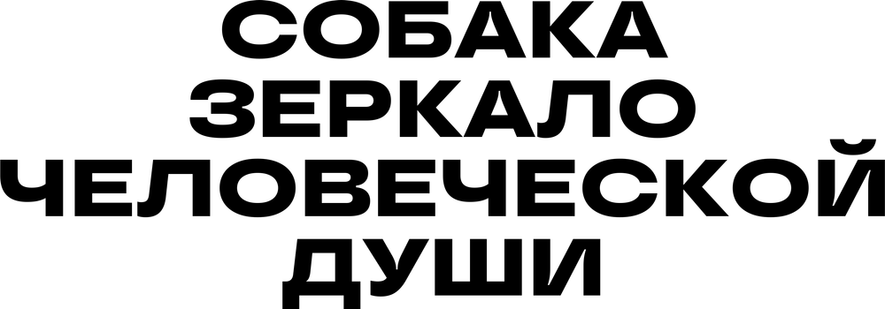 DTF-принт 7035