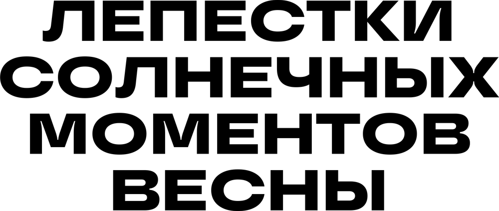 DTF-принт 7364
